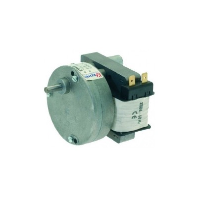 MC Motor Horno Asapollos Argon 6 rpm 50Hz 220v