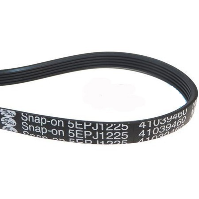 MC Correa Secadora 1225 Pje 5 Megadyne Fagor Candy Otsein Elastica