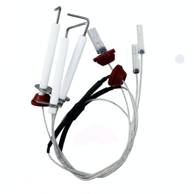 MC Kit Sonda Ionizacion Electrodo Laura F Baxiroca 122255010