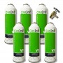MC 6 Botellas Gas Ecologico Gasica V2 255Gr + Valvula Sustituto R22, R32, R407C, R410A Freeze Organico