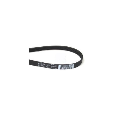 MC Correa Lavadora 1201-1198 J6 Elastica C00119126 Original