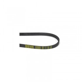 MC Correa Lavadora Candy 1140 J5 Elastica