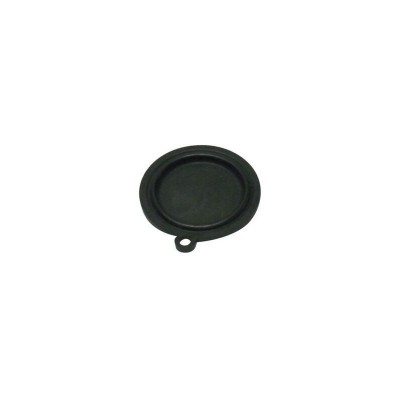 MC Membrana Calentador Cointra10L 398C0220