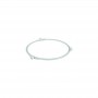 MC Roller Microondas Standard Diametro Interior 165 mm Diametro Ruedas 12,2 mm